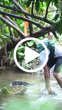 BIB:  <button type="button" onclick="openModal(27498576)" class="btn btn-primary btn-sm float-right" data-toggle="modal" data-target=".modal-high-quality">
                <i class="fa fa-download"></i> Download
                </button>